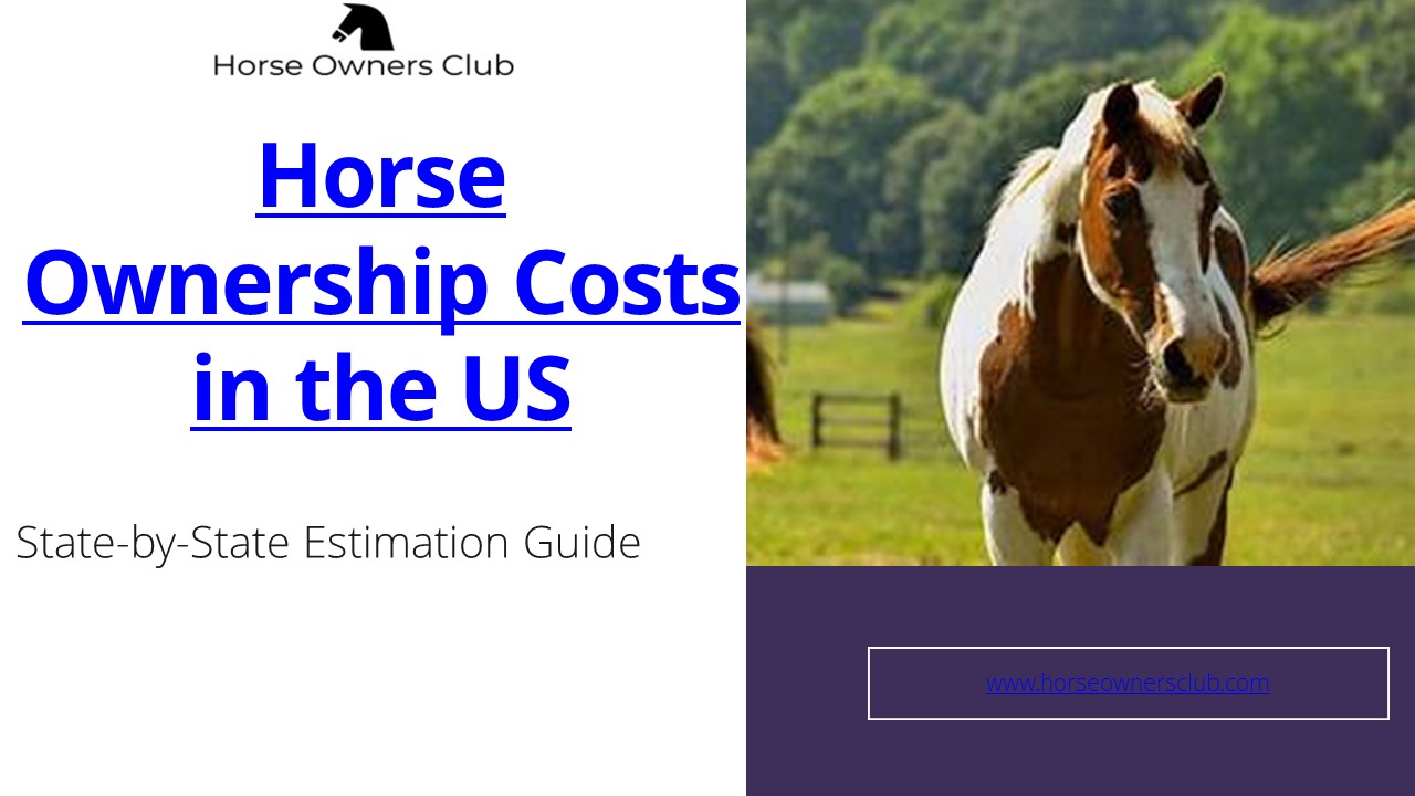 Horse Ownership Costs in the US: a State-by-State Estimation Guide