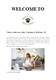Video Conference Dog Training Marlton NJ