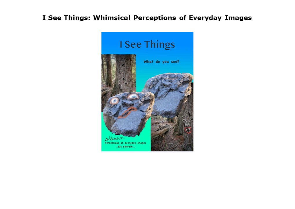 PDF DOWNLOAD FREE I See Things: Whimsical Perceptions of Everyday Images