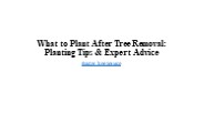 What to Plant after Tree Removal