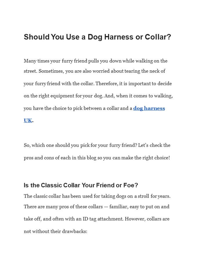 Should You Use a Dog Harness or Collar?