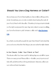 Should You Use a Dog Harness or Collar?