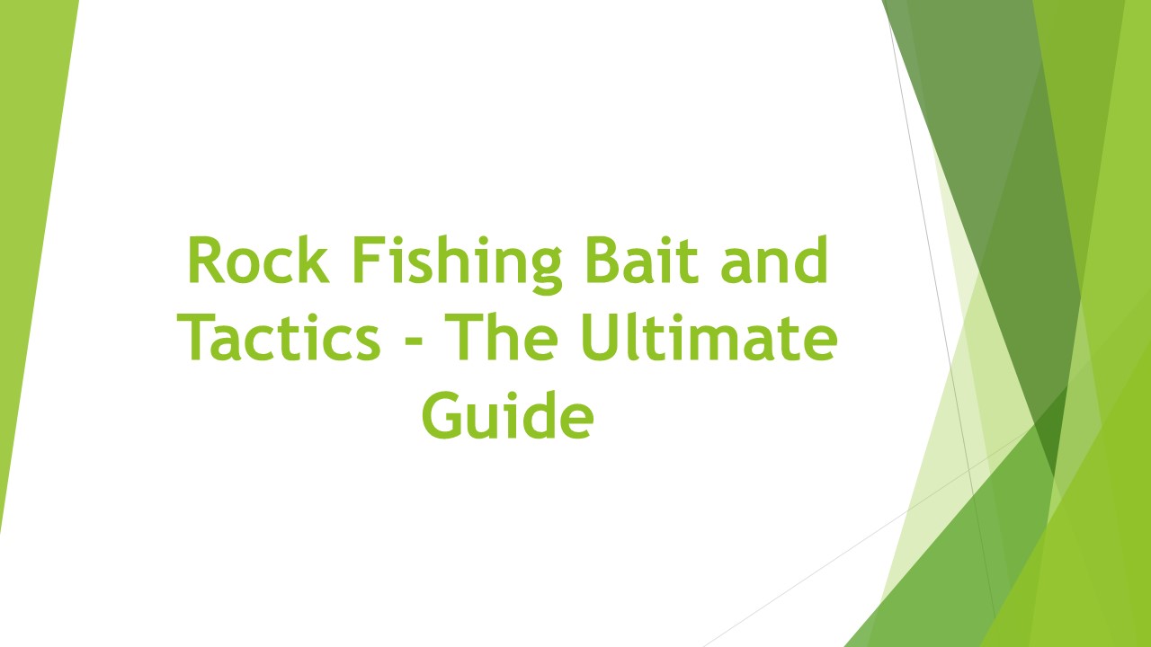 Rock Fishing Bait and Tactics - The Ultimate Guide
