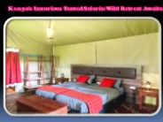 Kenya's Luxurious Tented Safaris: Wild Retreat Awaits