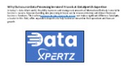 data processing services (1)