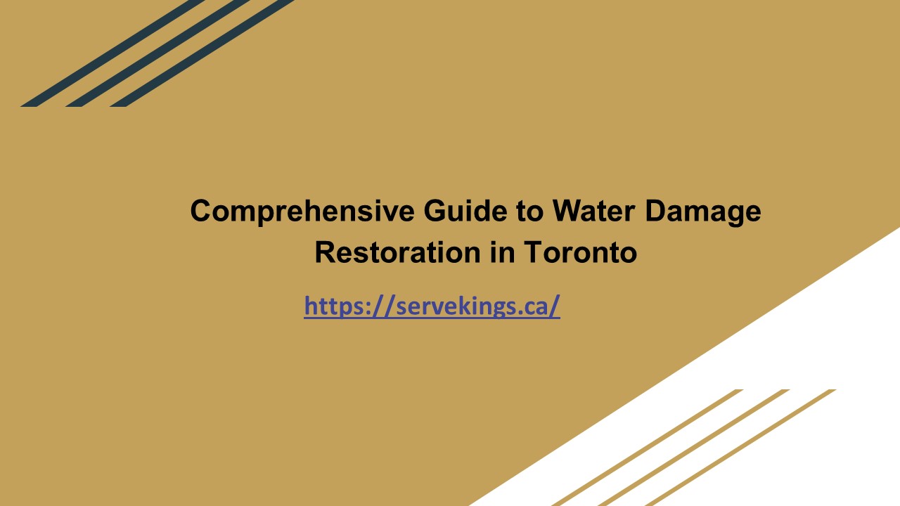 Comprehensive Water Damage Solutions in Toronto