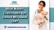 What Makes Crossroads Vet Oxford MS Stand Out?