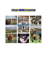 African Wildlife Excursions