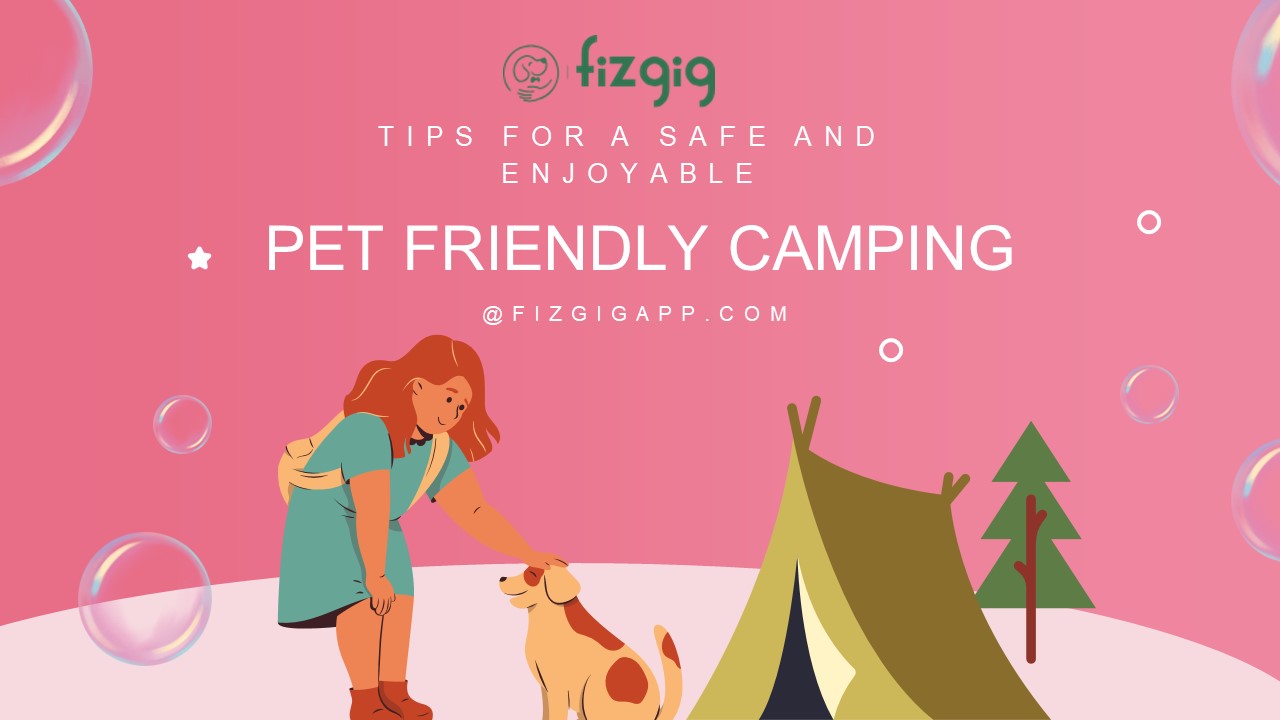 Pet Friendly Camping: Know What Are The Camping Essentials (1)