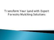 Transform Your Land with Expert Forestry Mulching Solutions