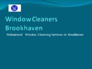 Window Cleaners Brookhaven