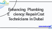 Plumbing Services in Dubai (2)