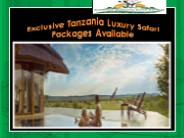 Exclusive Tanzania Luxury Safari Packages Available
