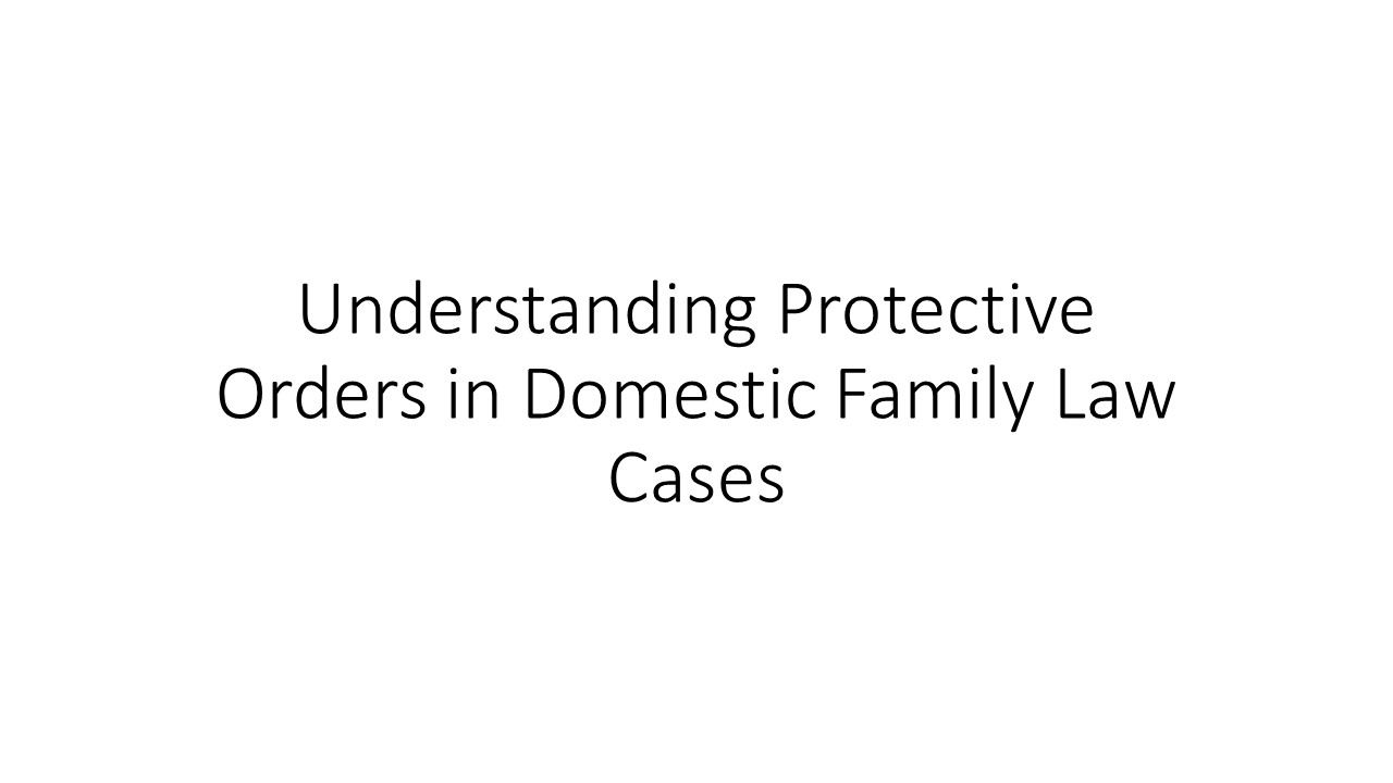 Understanding Protective Orders in Domestic Family Law Cases (6)