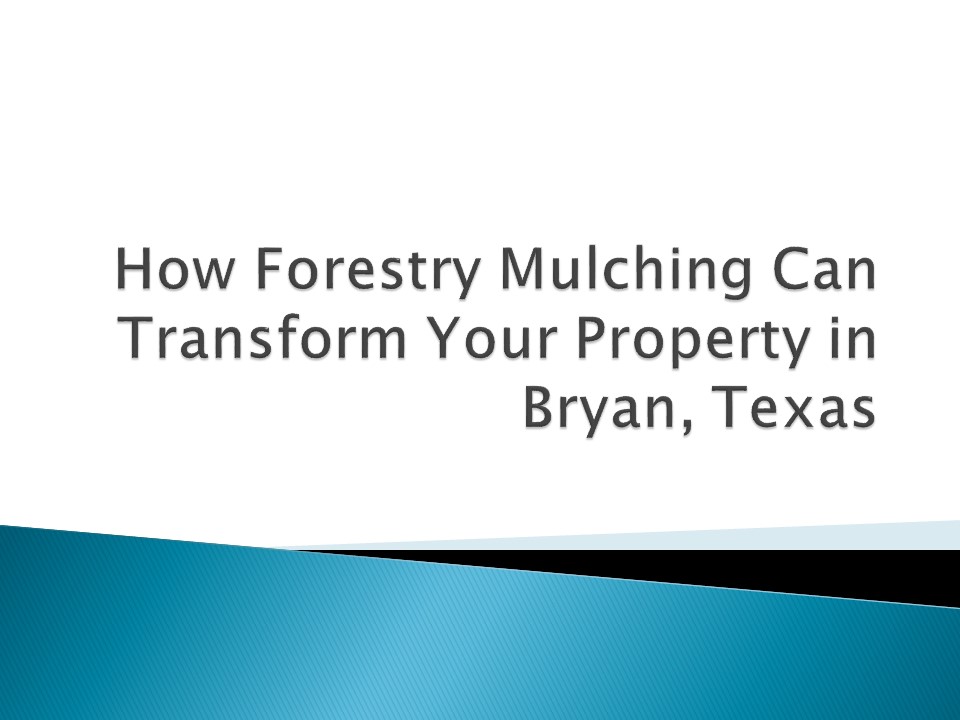How Forestry Mulching Can Transform Your Property in Bryan, Texas