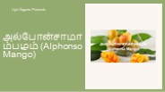 அல்போன்சாமாம்பழம் (Alphonso Mango)