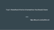 Top 5 MetaMask Wallet Alternatives You Should Know