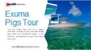 Exuma Pigs Tour