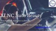 Car Detailing Pet Hair