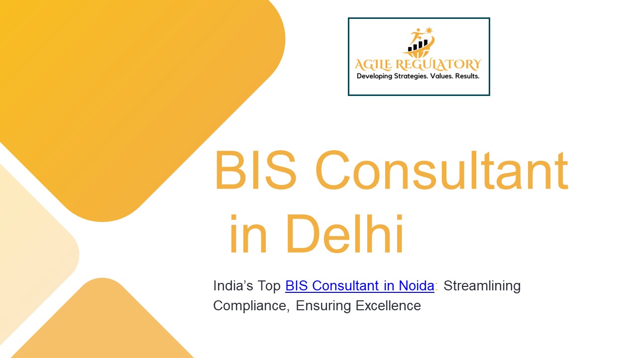 BIS Registration in Delhi