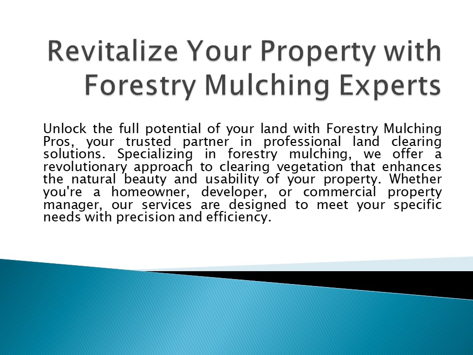 Revitalize Your Property with Forestry Mulching Experts