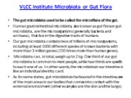 VLCC Institute Microbiota or Gut Flora