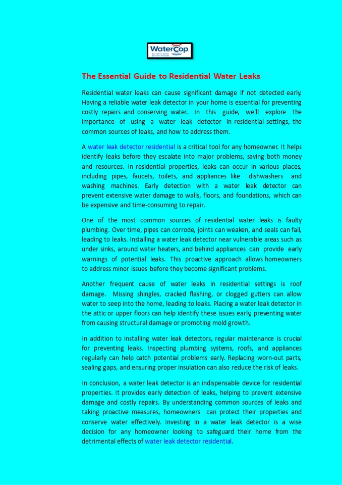 The Essential Guide to Residential Water Leaks