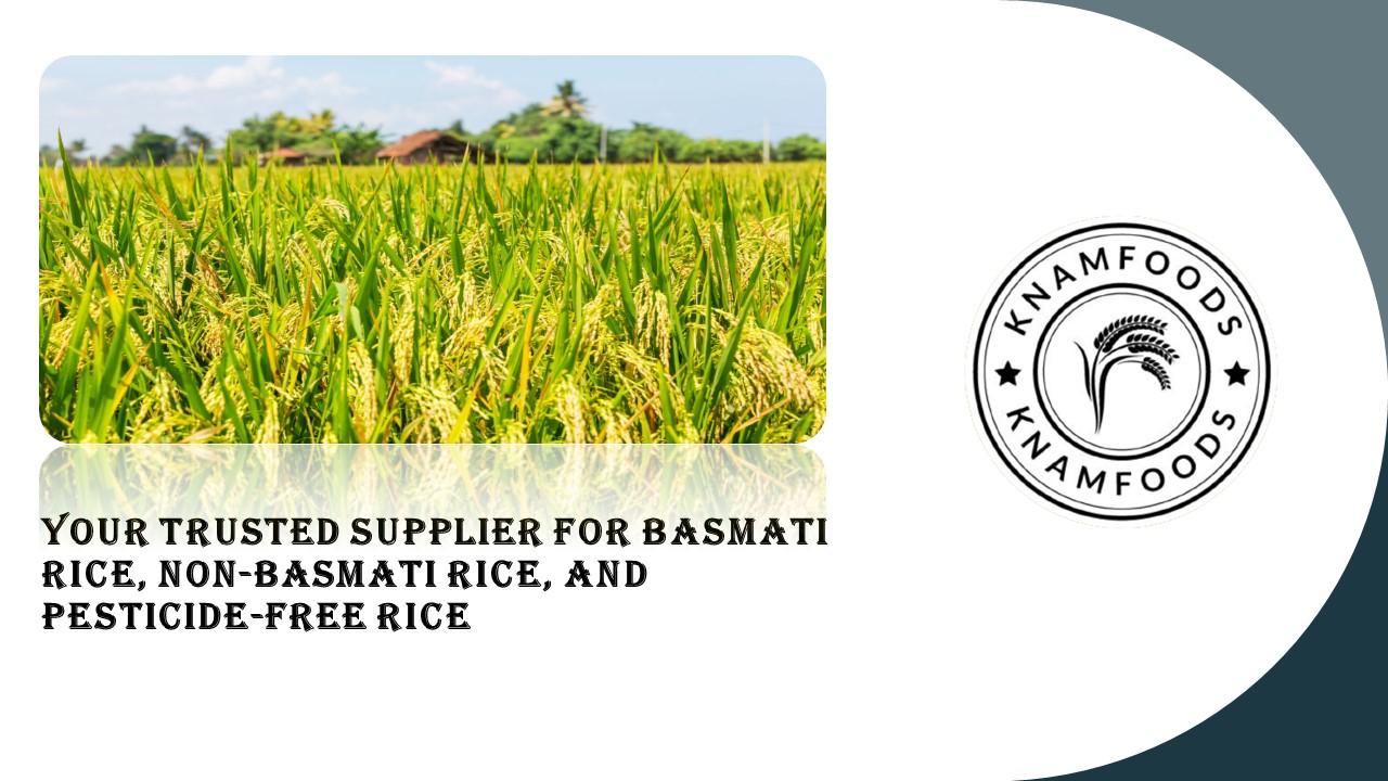 KNAM FOODS: Expanding Horizons in Global Food Distribution