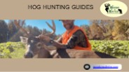 Hog Hunting Guides