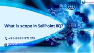 Sailpoint Online Training | Sailpoint Identity IQ Training
