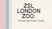 ZSL LONDON ZOO: The Ultimate Visitor’s Guide