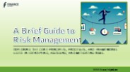 A Brief Guide to Risk Management