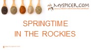 SPRINGTIME IN THE ROCKIES