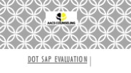 DOT SAP Evaluation