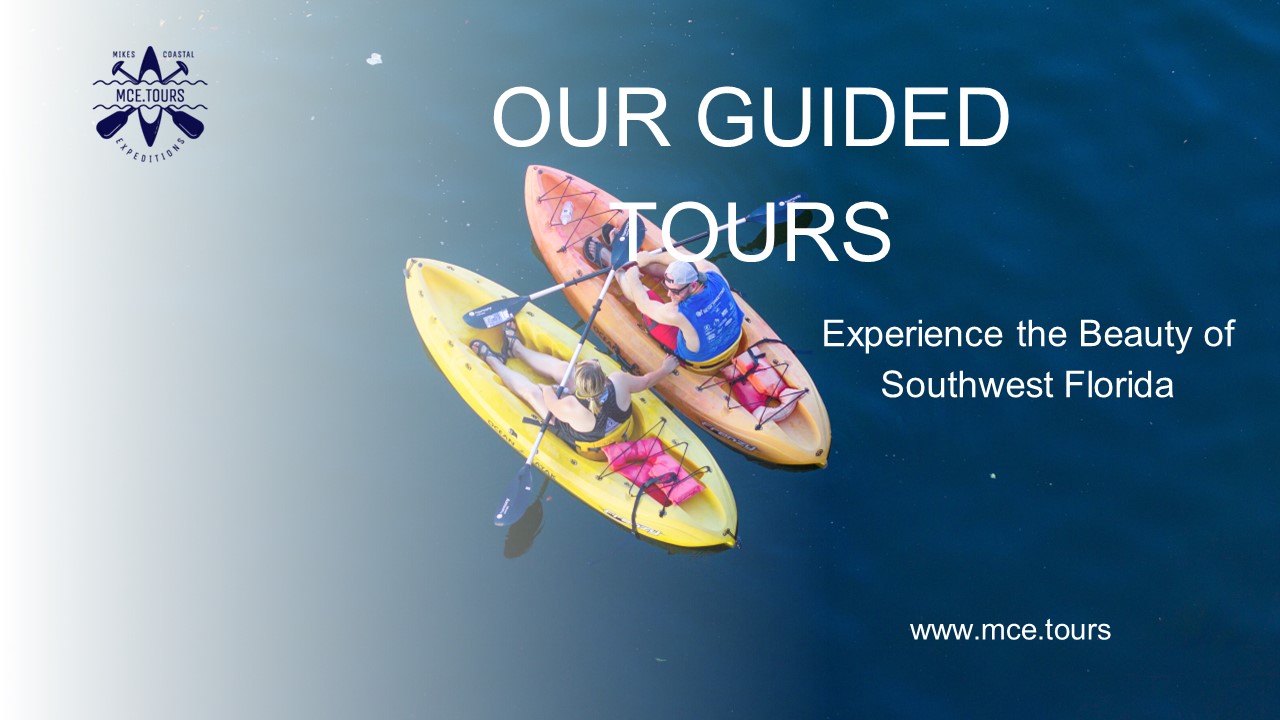 Guided Eco Hobie Kayak & Paddleboard Tours
