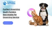 Purrfect Grooming: South Florida's Best Mobile Pet Grooming Service