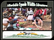 Affordable Uganda Wildlife Adventures