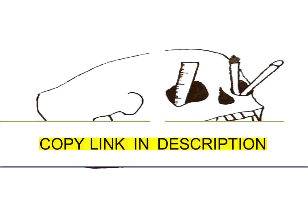 Download Book [PDF] Skull Journal