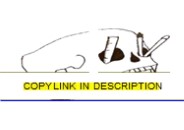 Download Book [PDF] Skull Journal