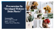 Disha Florist in Pune (1)
