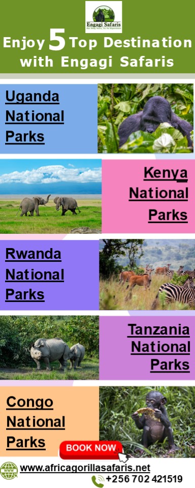 Enjoy 5 Top Destination with Engagi Safaris