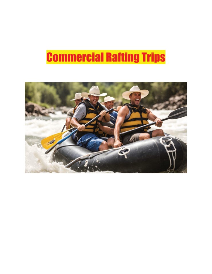 Commercial Rafting Trips
