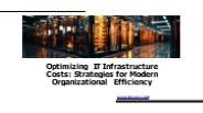 Challenges of IT Infrastructure Cost Management in Modern Organizations