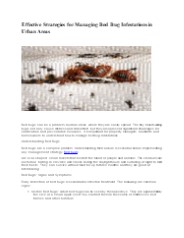 Pest Control in Tarneit, Melbourne