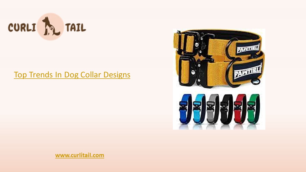 Top Trends in Dog Collar Designs | CurliTail