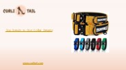 Top Trends in Dog Collar Designs | CurliTail