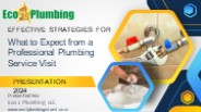 What to Expect from a Professional Plumbing Service Visit