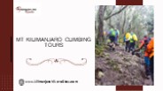 MT Kilimanjaro Climbing Tours
