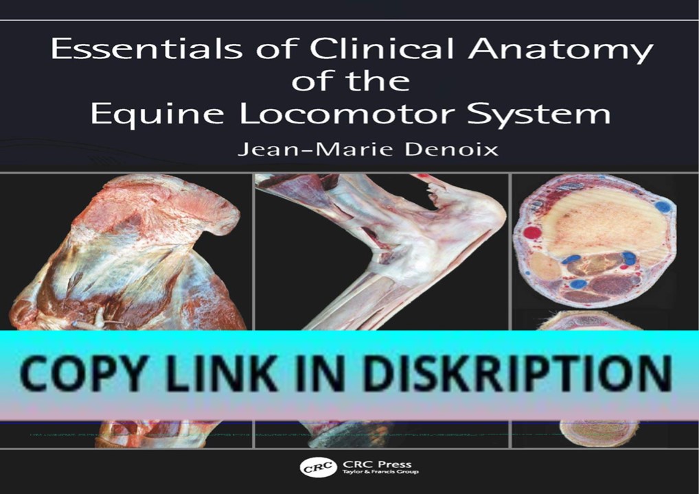 PDF/READ/DOWNLOAD Essentials of Clinical Anatomy of the Equi