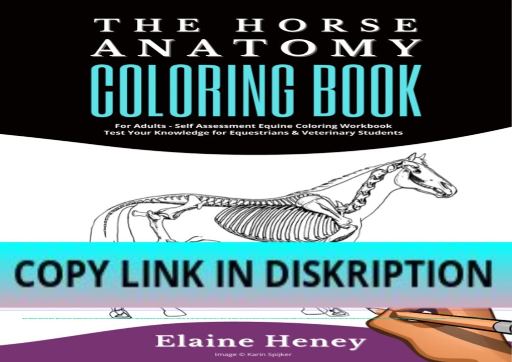 EPUB DOWNLOAD Horse Anatomy Coloring Book For Adults - Self